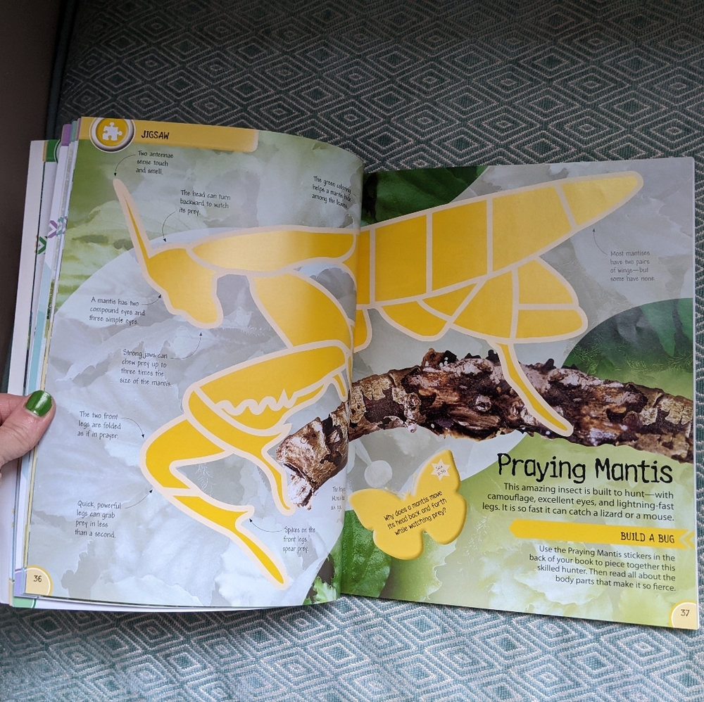 Smithsonian Animals - Ultimate Sticker Activity Collection - Picture 4 of 16